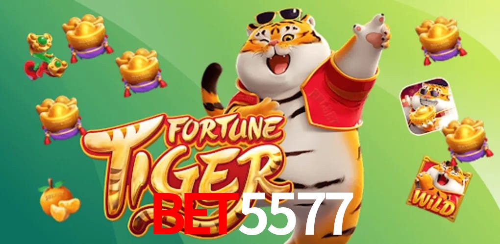 Experiência VIP bet5577