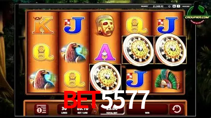 Descubra o Mundo do Cassino Online com bet5577